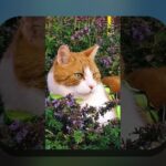 قانون ۲۴ساعته تصمیمگیری مالی چیست و چگونه میتواند زندگی مالی ما را در ایران بهبود بخشد؟